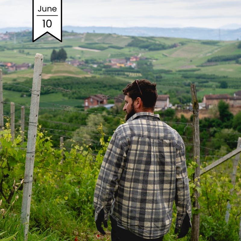 Meet The Importer: Vine Farmer's Italian Wines