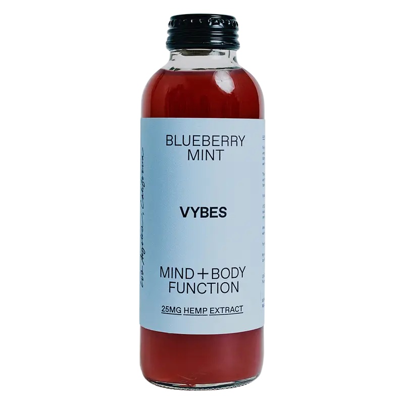 Vybes Blueberry Mint N/A Kombucha 14oz Bottle