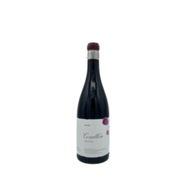 Descendientes de J. Palacios Bierzo Corullon 2021 750ml