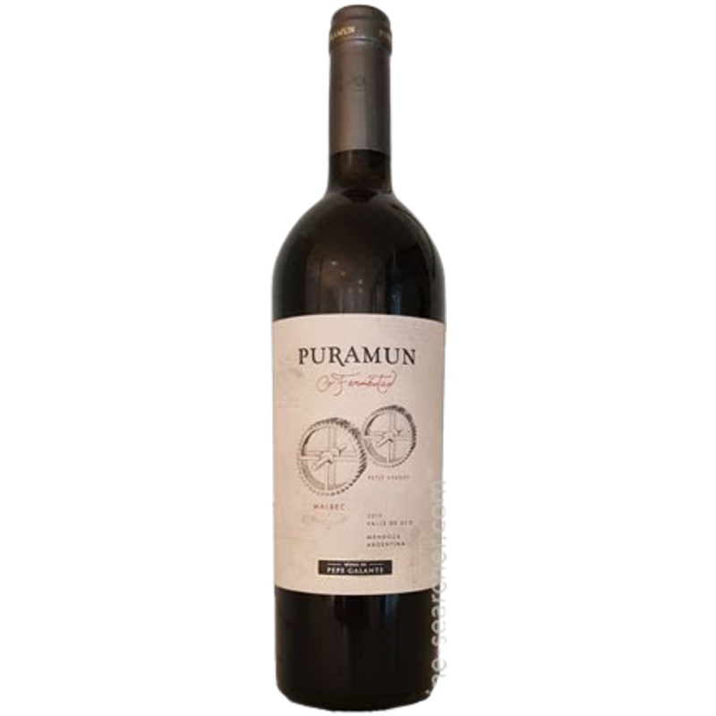 Puramun Malbec Petit Verdot Co Fermented Valle de Uco 2014 750 ML