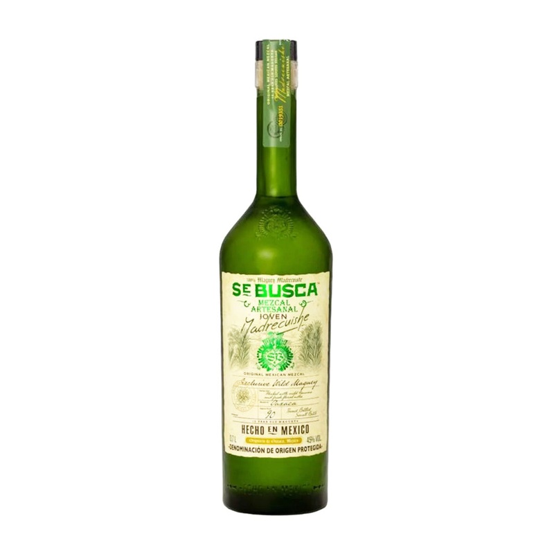 Se Busca Maguey Madrecuishe Joven Mezcal